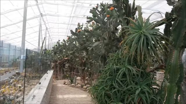 The University Botanic Garden Balchik Bulgaria смотреть онлайн