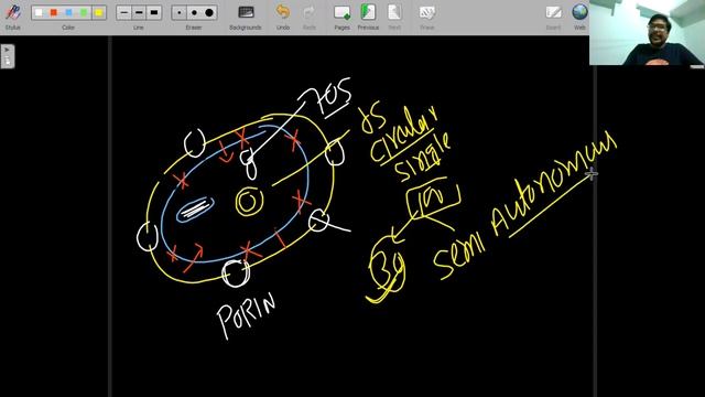 BIOLOGY FROM 000 LEVEL(Part-5)PLASTID/MITOCHONDRIA/CELL WALL смотреть онлайн