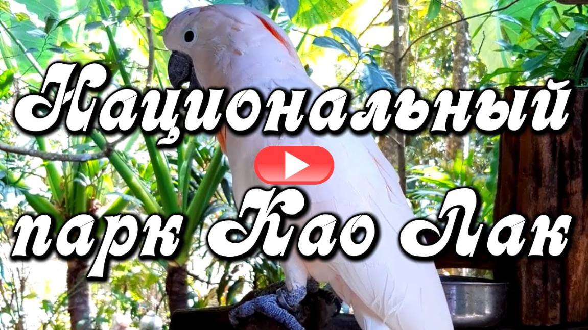 Национальный парк Као Лак, Таиланд. Пещера обезьян и катание на слонах смотреть онлайн