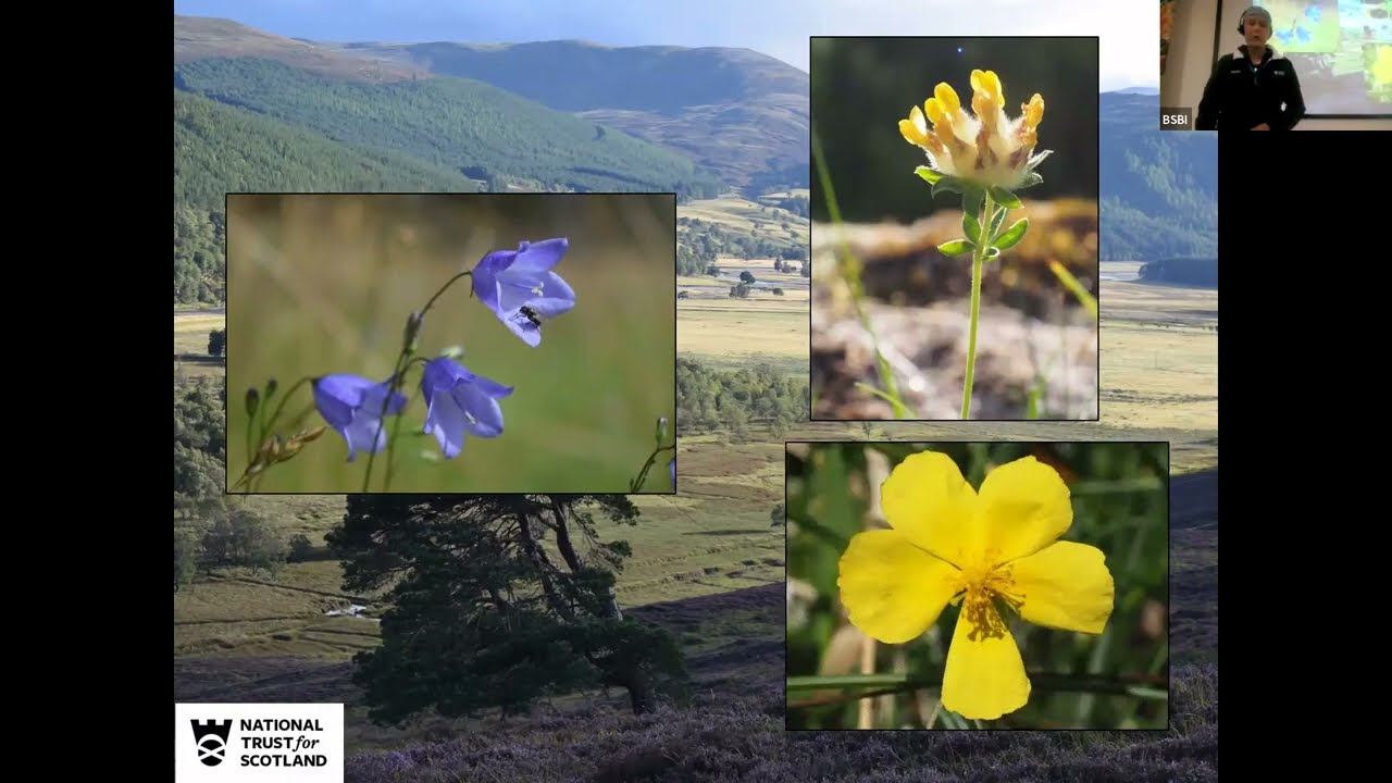 Plant Conservation at Mar Lodge National Nature Reserve смотреть онлайн