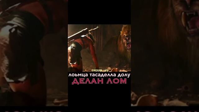 Лев Аллах1а который, сразился со львом! смотреть онлайн
