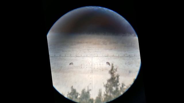 Athlon Cronus Tactical 7 42x60mm FFP MRAD Spotting Scope Review смотреть онлайн