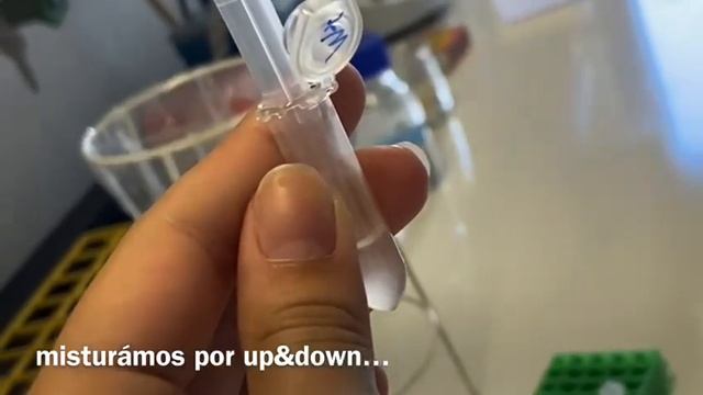 Biofilme - por Bacillus subtilis смотреть онлайн