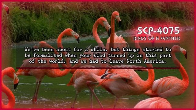 SCP 4075 - Birds of a Feather смотреть онлайн