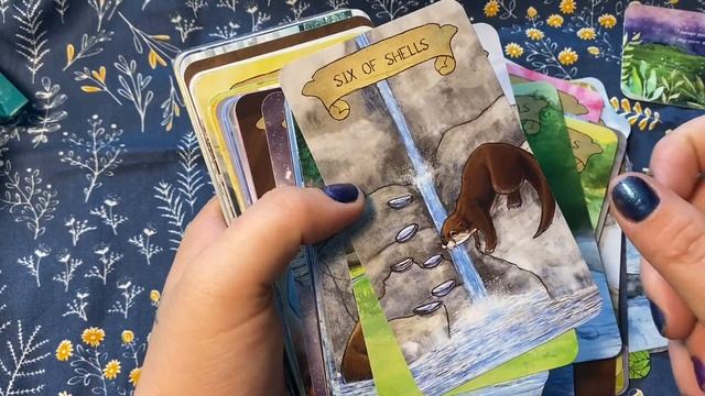 Walk through & unboxing of Tarot Fauna! смотреть онлайн