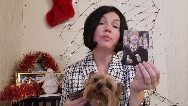 Архетипы и стили на примере героев из "Гарри Поттера" смотреть онлайн