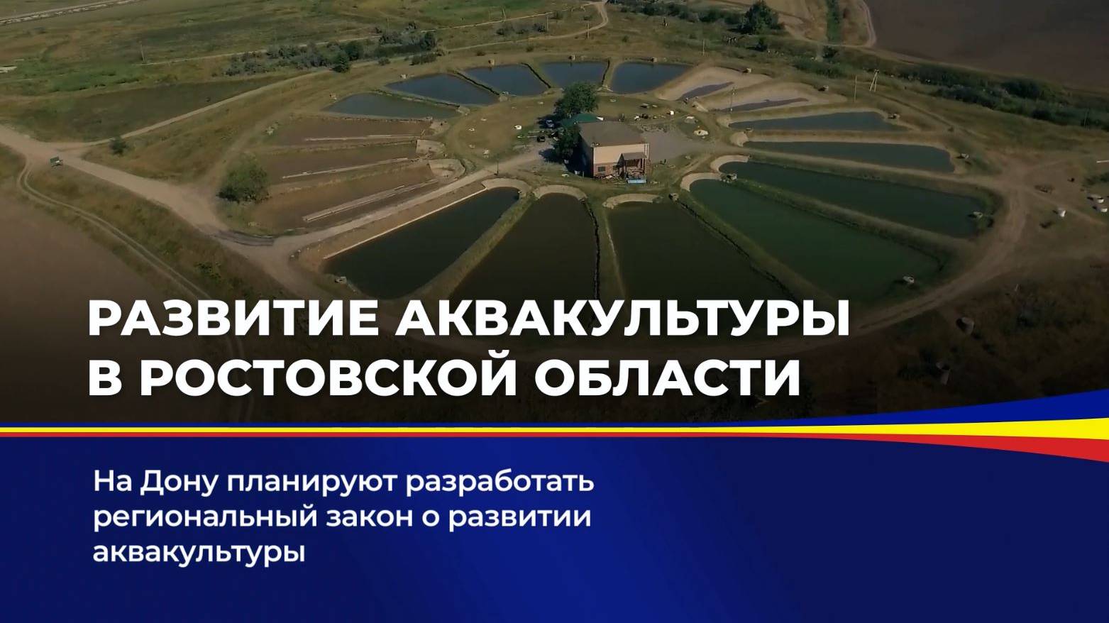 Развитие аквакультуры в Ростовской области смотреть онлайн