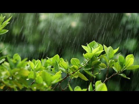 nature cloud ☁️rain 🌧️☔ heavy rain thunderstorm ⛈️ relaxing sleeping beuatiful nature Switzerland смотреть онлайн