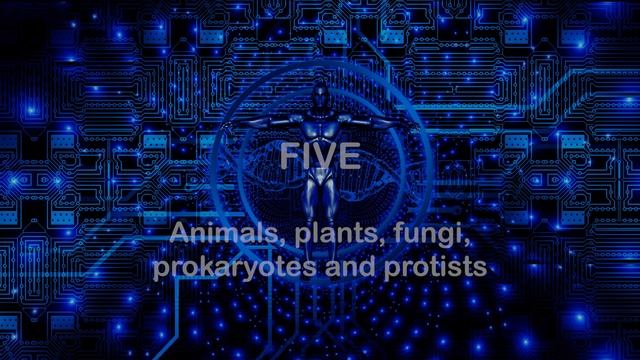 20 GCSE Biology Revision - Evolution Questions & Answers - test yourself and learn! смотреть онлайн
