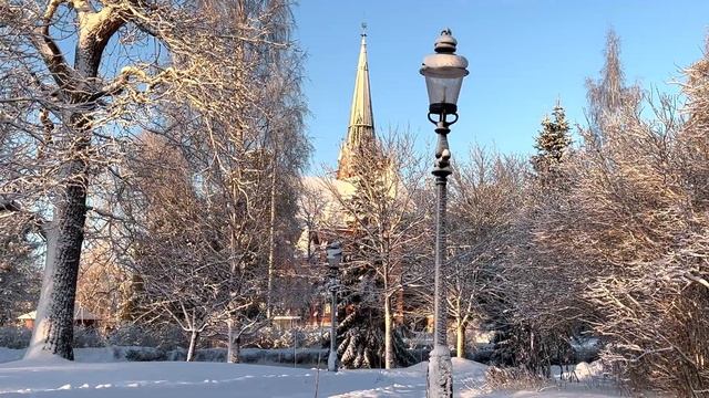 En promenad genom Döbelns Park i Umeå den 31:a December, 2021. смотреть онлайн