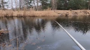 ЭКРАНЫ БЕЗ РЫБЫ МЕНЯ НЕ ОСТАВИЛИ!!! Рыбалка на экраны ранней весной.