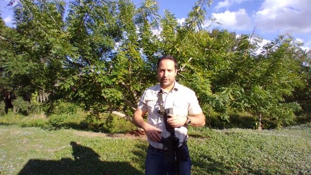 Determine your Dominant Eye and Shooting side. смотреть онлайн