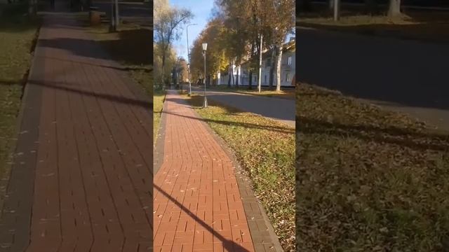 Музей романа "братья Карамазовы" ч1. смотреть онлайн