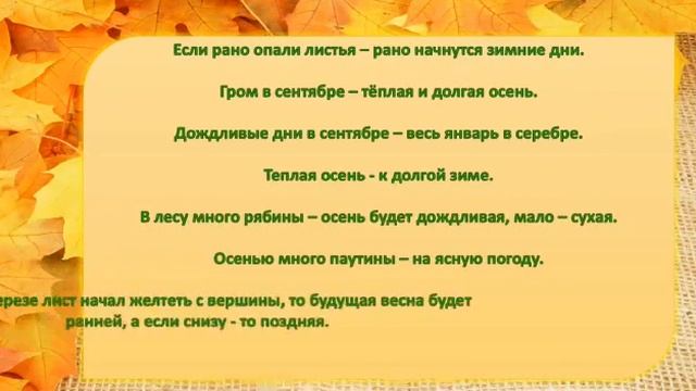 Экологическое видео-ассорти «Цвет настроения – осень» смотреть онлайн