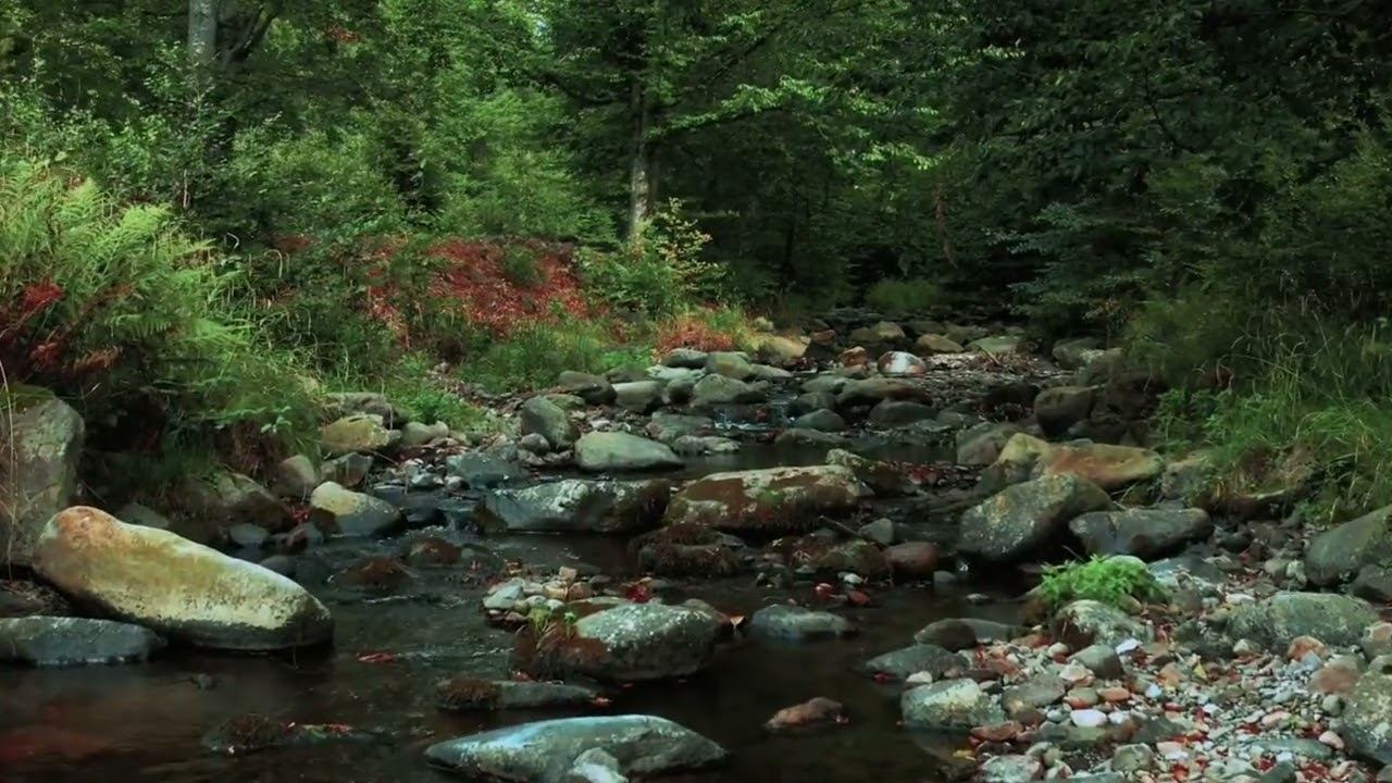 Можно все ещё спасти - Валентина смотреть онлайн