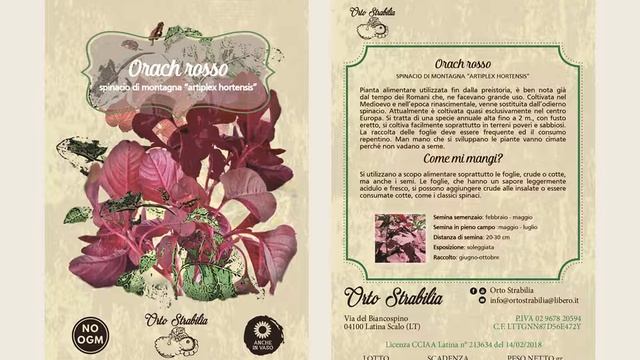 13.Girasole gigante, Orach rosso, Pak choi смотреть онлайн