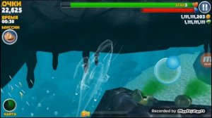 "Hungry Shark Evolution" обзор игры.