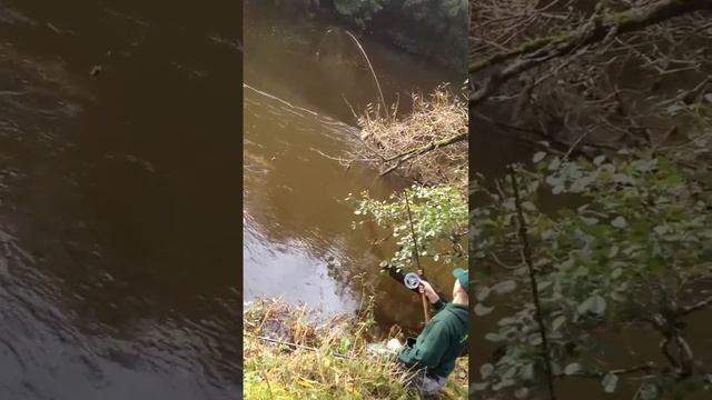 River Wye Barbel смотреть онлайн