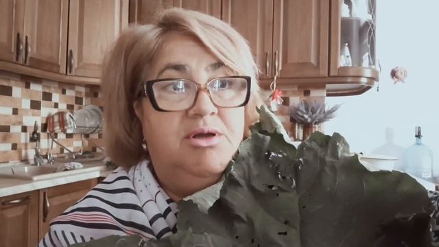 КАК ИЗБАВИТСЯ ОТ БОЛИ В КОЛЕНЯХ С ПОМОЩЬЮ ЛОПУХА🌿🌿ПРОВЕРЕНО НА СЕБЕ🌿🌿 смотреть онлайн