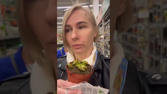 СПАСТИ МУХОЛОВКУ!!!! История о спасении цветка 😂 продолжение следует смотреть онлайн