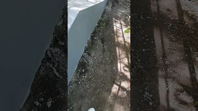 реагенты и строительный мусор на оопт, 13.05.2023 смотреть онлайн