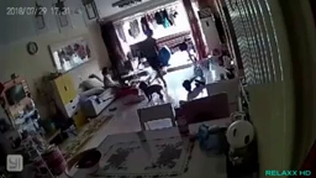 ПОЧЕМУ ГОРЯТ ЭЛЕКТРОСАМОКАТЫ / КАК ИЗБЕЖАТЬ ПОЖАРА ИЗ-ЗА ЭЛЕКТРОТРАНСПОРТА смотреть онлайн