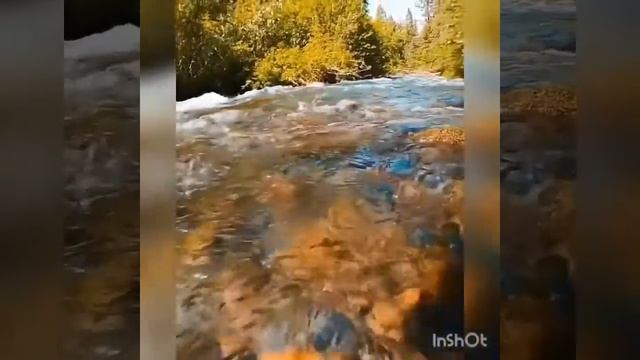 BEAUTY OF NATURE 😍 смотреть онлайн