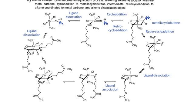 Module 6C, 2 metathesis catalytic cycle смотреть онлайн
