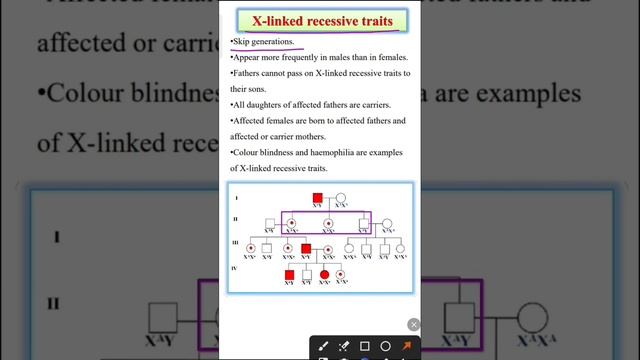 X linked recessive trait | X linked recessive inheritance смотреть онлайн
