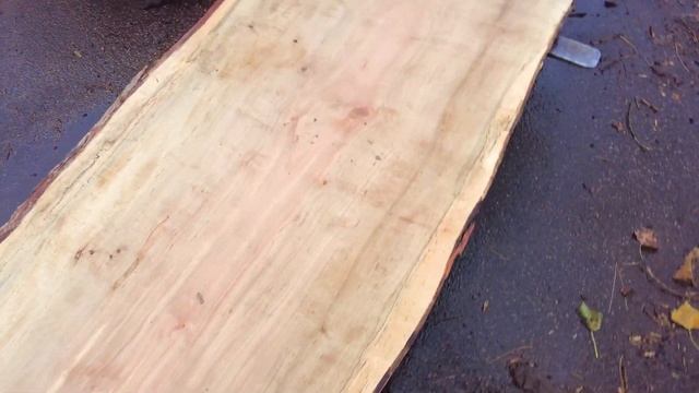 Testing the Sawmill Extension with the Longest Log I Have смотреть онлайн
