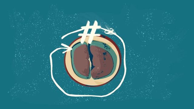 Kawowe Opowieści, ep.4: "Mikroskopijny świat owocu kawowca" смотреть онлайн