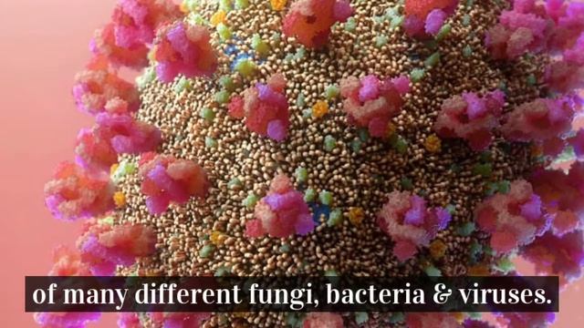 5 Benefits Of Turmeric | InnfoHub