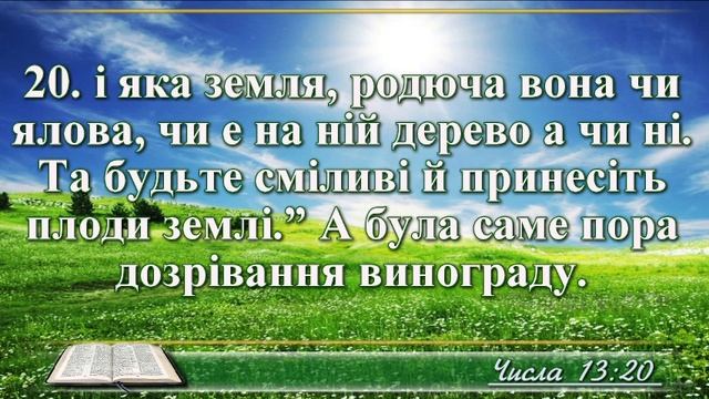 ВідеоБіблія Книга Числа розділ 13 Хоменка смотреть онлайн