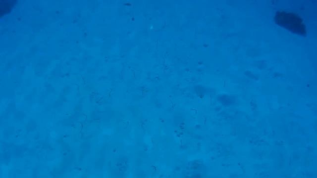 Mangrove Bay El Quseir March 2017 Мангрове Бэй Эль Кусейр Март 2017 смотреть онлайн