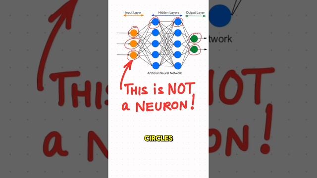 Input Neuron is a Lie! смотреть онлайн