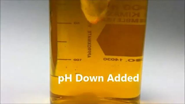 API Freshwater pH Test Kit - Testing pH Levels | Big Al's смотреть онлайн
