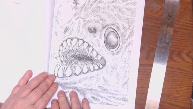"Coloring Book Reviews" смотреть онлайн