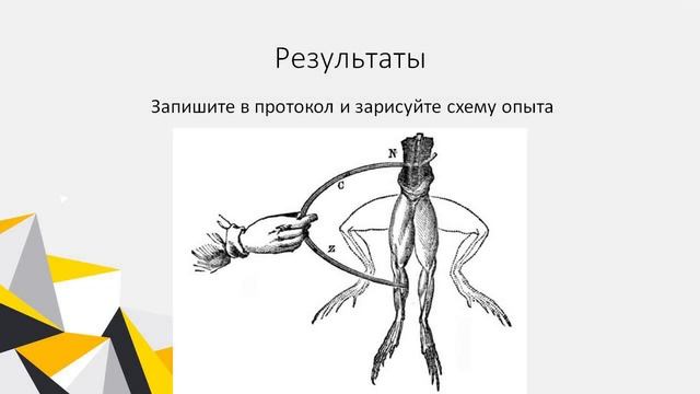 Опыт №1. Первый опыт Гальвани смотреть онлайн