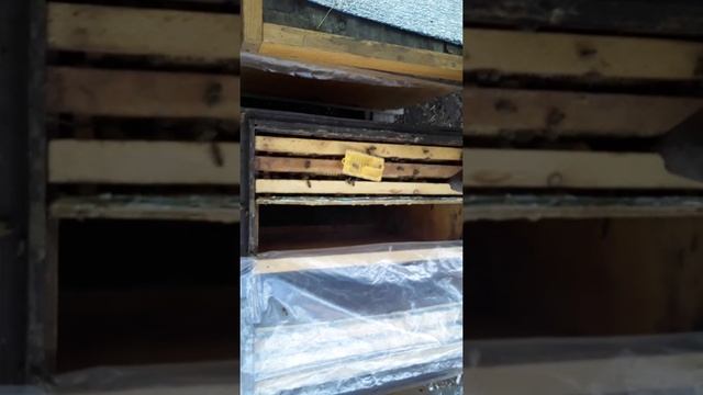 прием маток три из четырех приняли смотреть онлайн