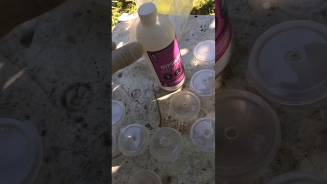 Обработка Пчёл Муравьиный кислотой 19 сентября смотреть онлайн