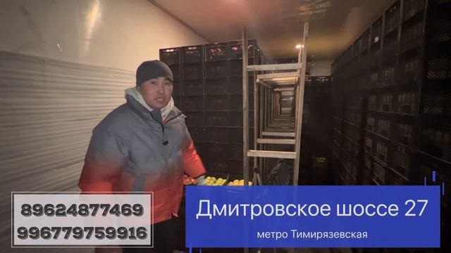 Ноокаттын алмасы эми Москвада шашылабыз смотреть онлайн