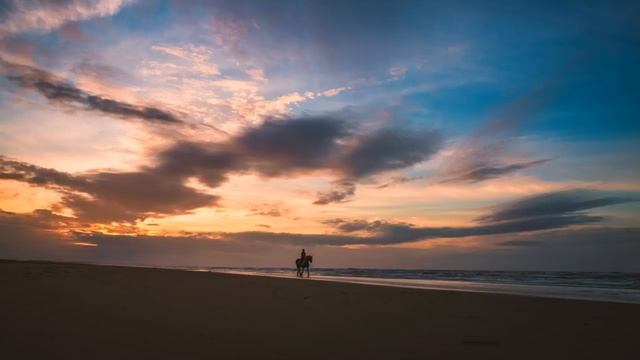 Oleg Byonic - The Sting смотреть онлайн