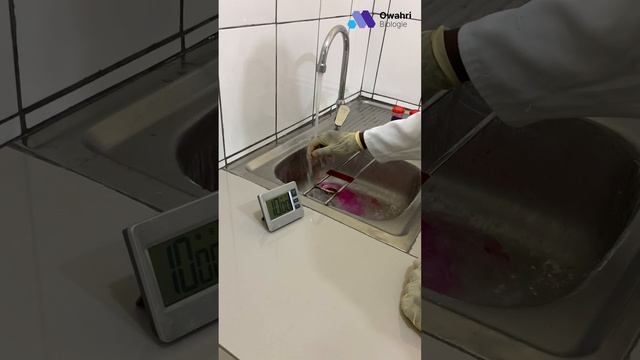 Exploration rapide des étapes clés de la coloration de Ziehl-Neelsen #santé #laboratoire смотреть онлайн
