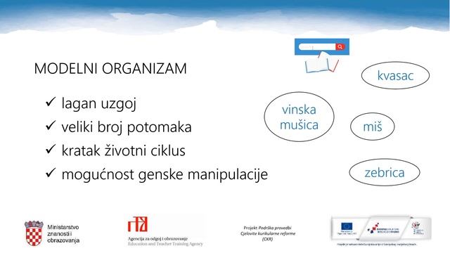 Biologija, 4. r. SŠ - Genetika - znanost o nasljeđivanju смотреть онлайн