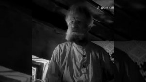 вот выпадут у тебя зубы я тебе жевать не буду