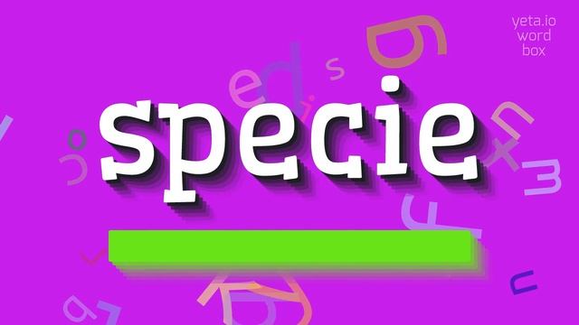 SPECIE - HOW TO PRONOUNCE IT? смотреть онлайн