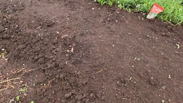 ОСВАИВАЕМ ЦЕЛИНУ!!! Получили посылку!! Наконец-то первые всходы смотреть онлайн