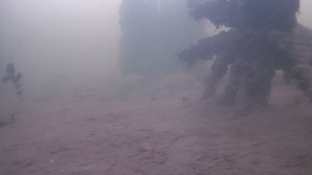 ПРИКОРМКА НА ПЛОТВУ, КРАСНОПЕРКУ. ПОШЕЛ ПРОВЕРЯТЬ ЛУНКИ ПОДВОДНОЙ КАМЕРОЙ смотреть онлайн