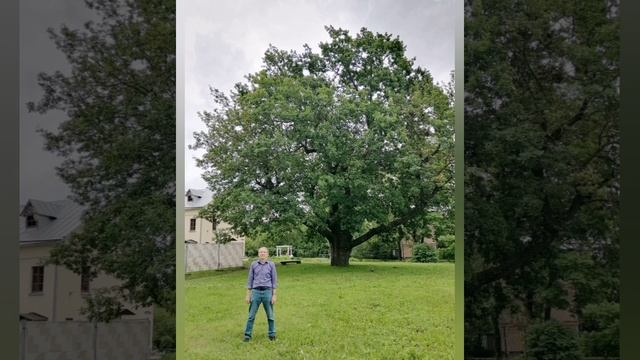 Воскресенск. Парк. Усадьба Кривякино. Лето 2023 смотреть онлайн