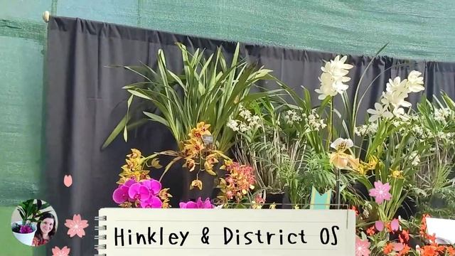 Scottish Orchid Society Show 2022 смотреть онлайн
